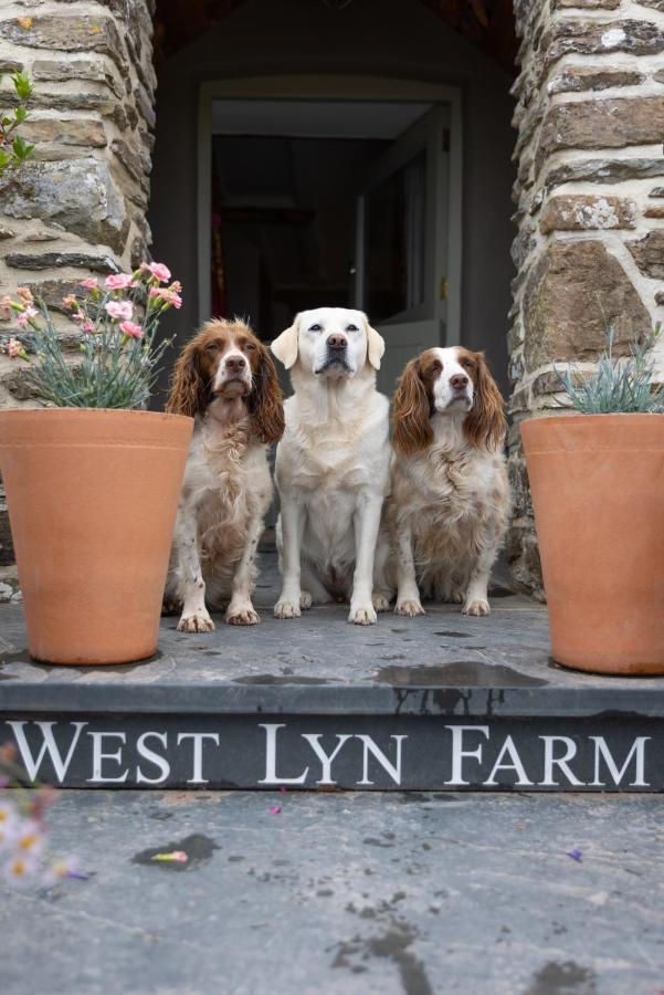 West Lyn Farm B&B And Shepherd Hut Lynton Bagian luar foto